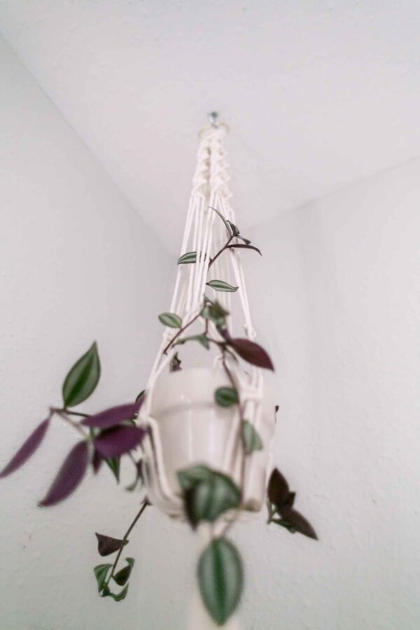 macrame plant hanger