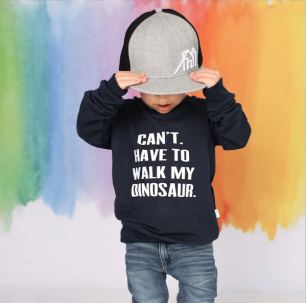 dinosaur sweater