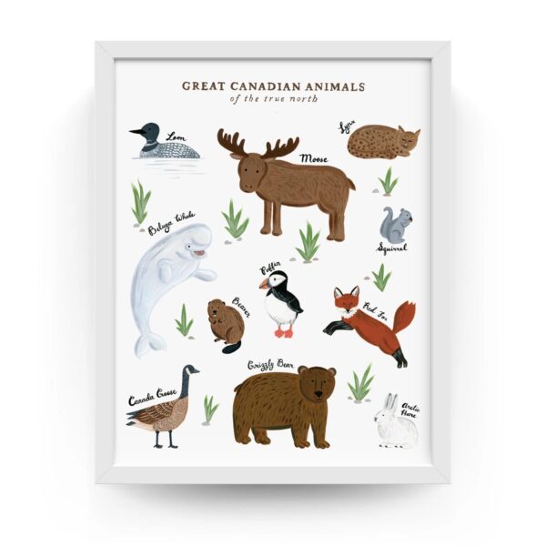 Canadian Animals Art Print - Nursery - Children's Wall Art