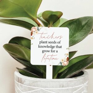 plant markers gifts for teachers and plant lovers