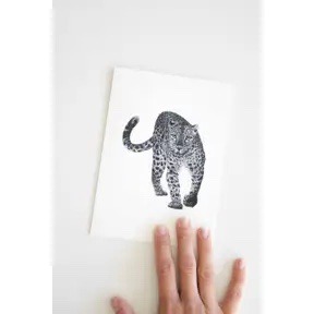 Pencil Drawing - Cheetah