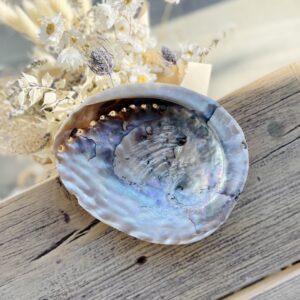 abalone shell for ashtray sage palo santo matches