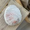 abalone shell for ashtray sage palo santo matches decor