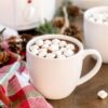 Hot Chocolate Mix with Marshmallows - gift