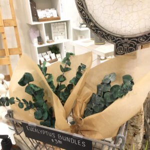 Eucalyptus Dried Bundle